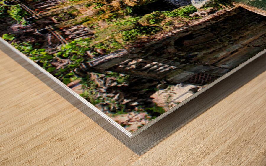 Classical Fountain Wood print