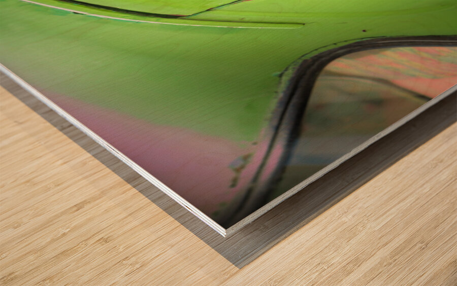 Woman in Green Car Window Impression sur bois