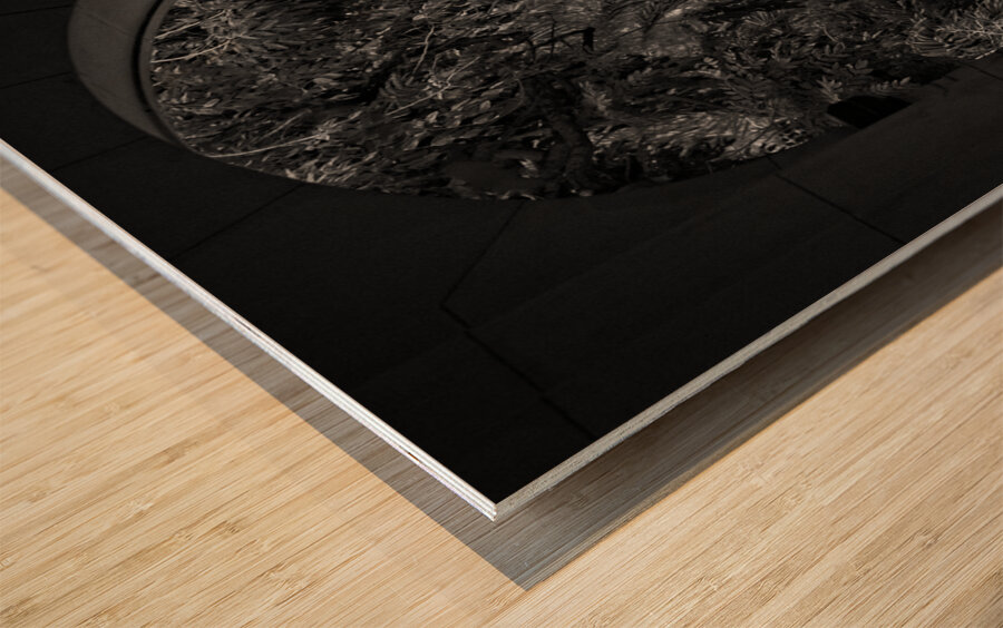 Havana Through the Archway Impression sur bois