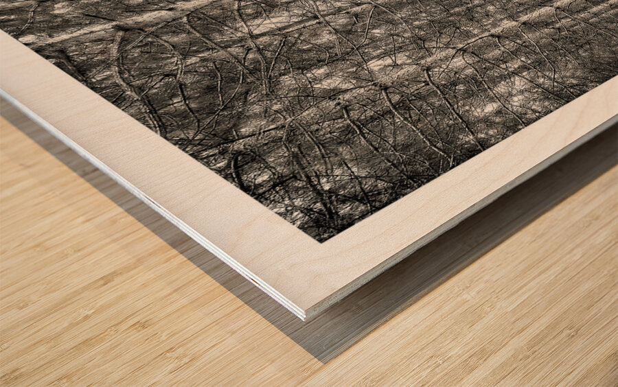 Forest Patterns Wood print