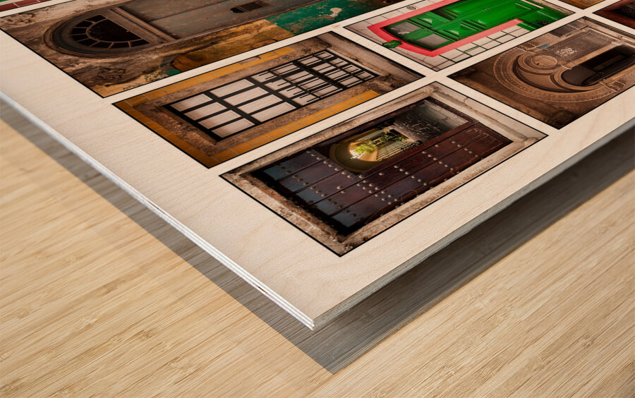 Doors of the World Wood print