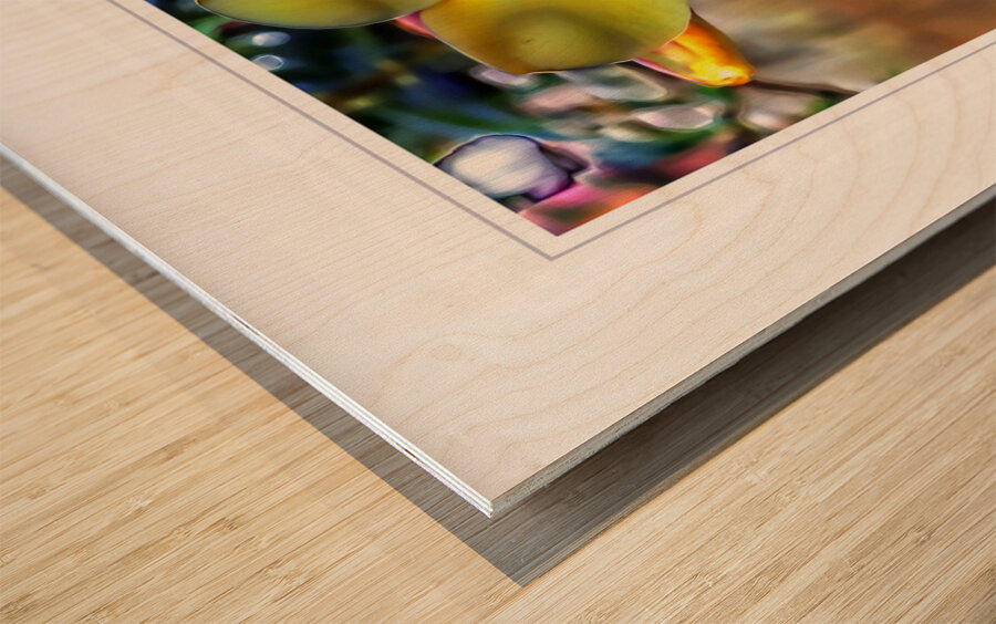 Yellow Flower Glow Wood print