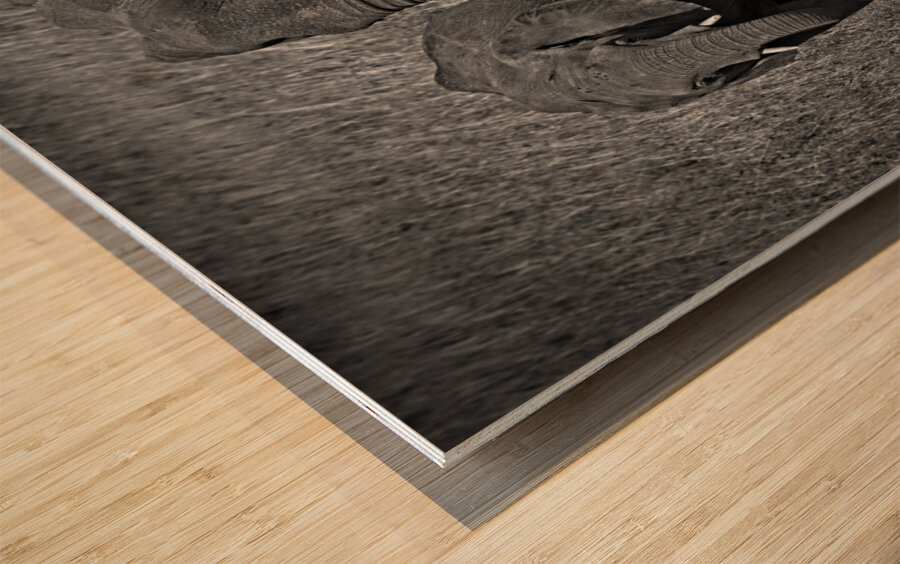 Elephants at the Waterhole Wood print