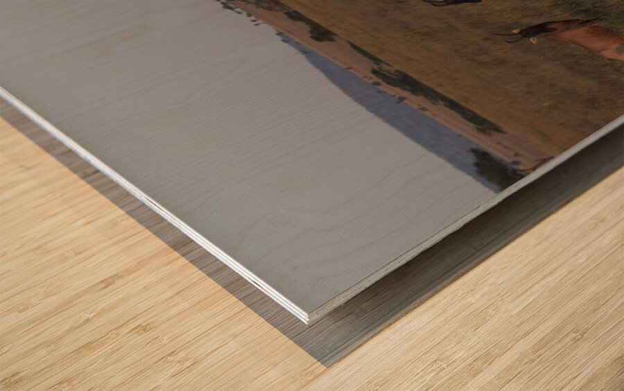 Sentinels of the Plains Wood print