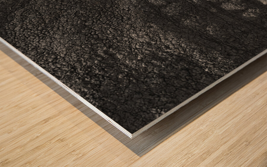 Wisdom in the Wrinkles Wood print