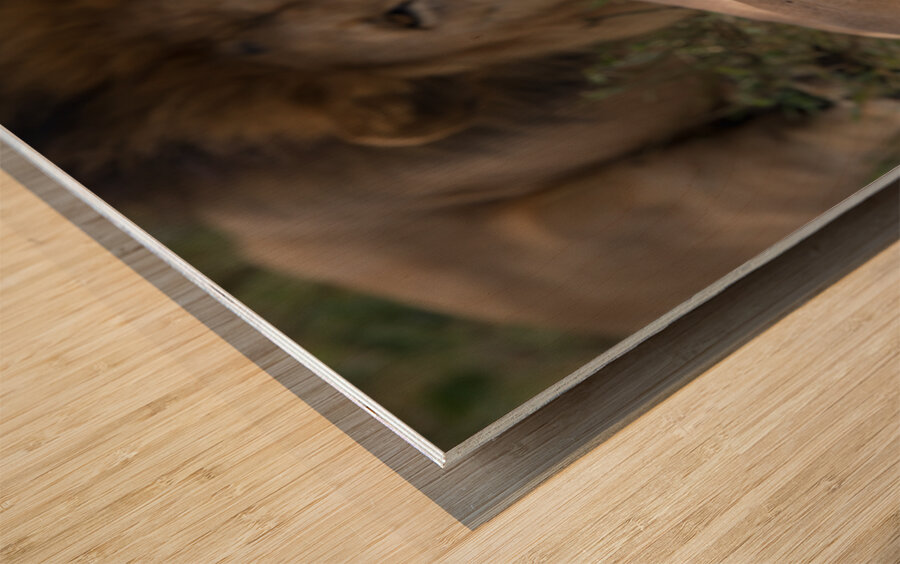 Royal Rest Impression sur bois