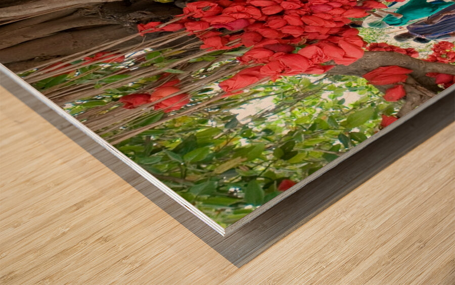 Wishes in Red Impression sur bois