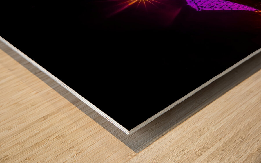 Jacques Cartier in Full Spectrum Impression sur bois