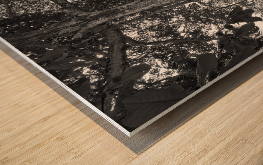 Roots of Time Wood print