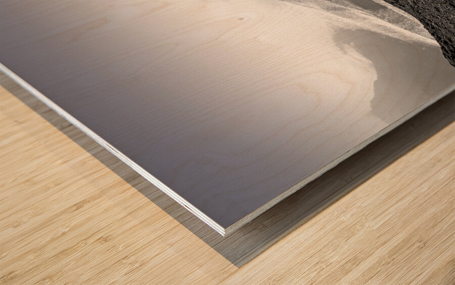 Frozen Kingdom Impression sur bois