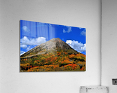 Gothic Fall Acrylic Print