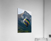 Floating Acrylic Print