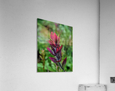 Paintbrush Acrylic Print