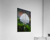 Summer Snowball Acrylic Print