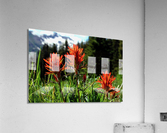 Paintbrush Trio Acrylic Print