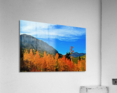 Gothic Fall Acrylic Print