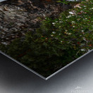 Judd Falls Metal print