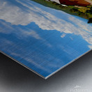 CrawfordCountry Metal print