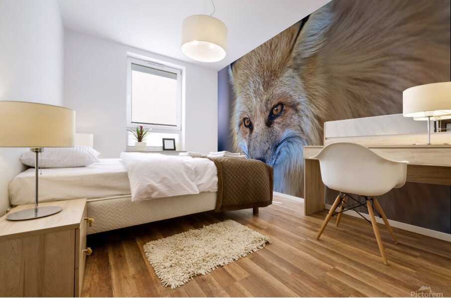 Foxy Smirk Mural print