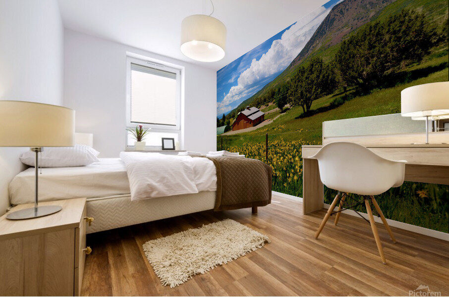 CrawfordCountry Mural print