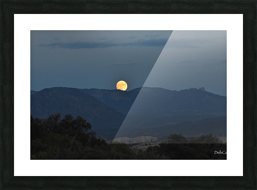 Beaver Moonrise Picture Frame print