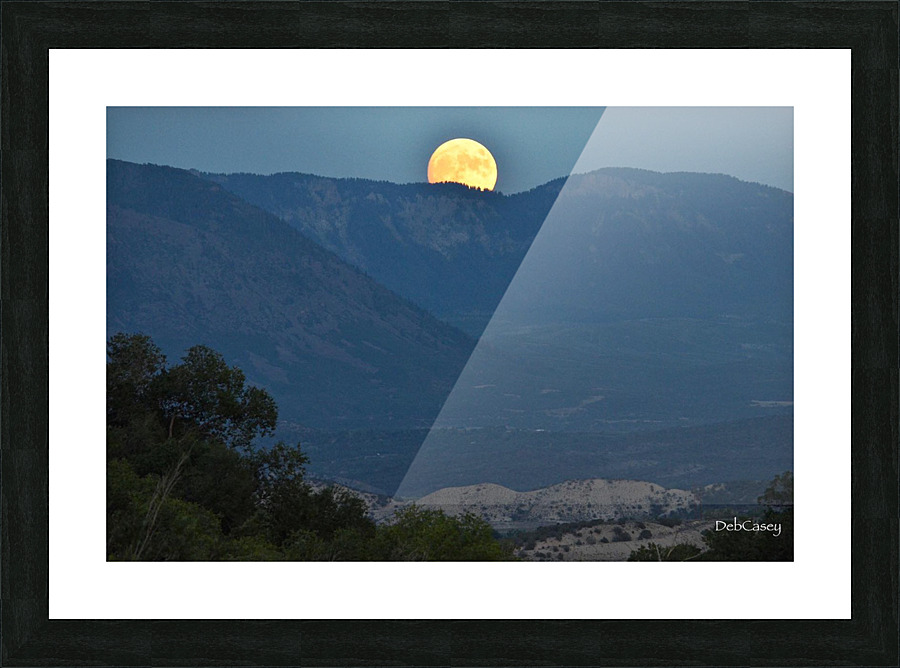 Beaver Moon Picture Frame print