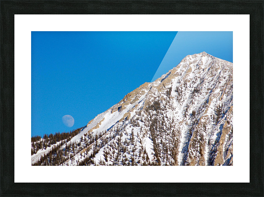 Silver Queen Moondance Picture Frame print