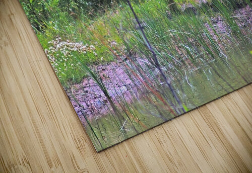 Buck Deer Deborah Casey puzzle