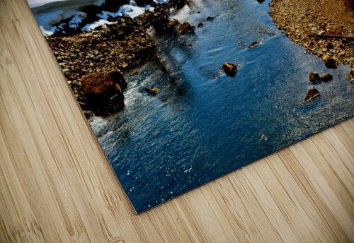 East River Deborah Casey puzzle