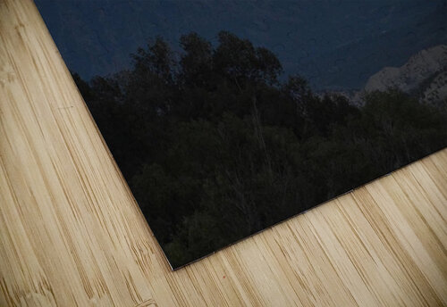 Beaver Moonrise Deborah Casey puzzle