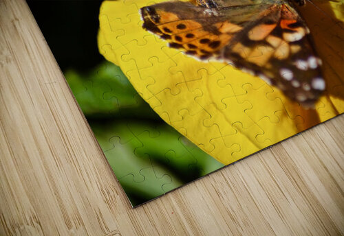 Monarch Deborah Casey puzzle