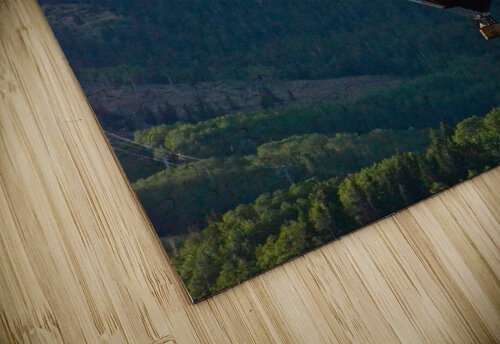 Floating Deborah Casey puzzle