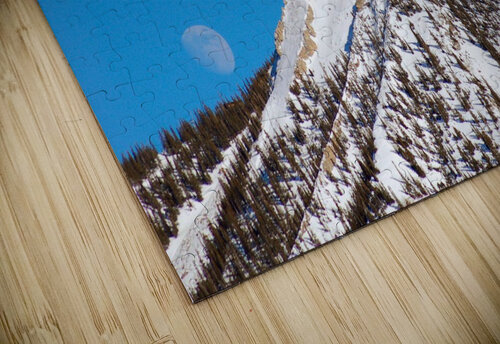 Silver Queen Moondance Deborah Casey puzzle