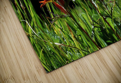 Paintbrush Trio Deborah Casey puzzle
