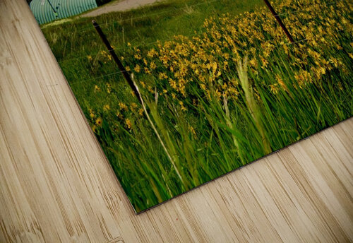 CrawfordCountry Deborah Casey puzzle