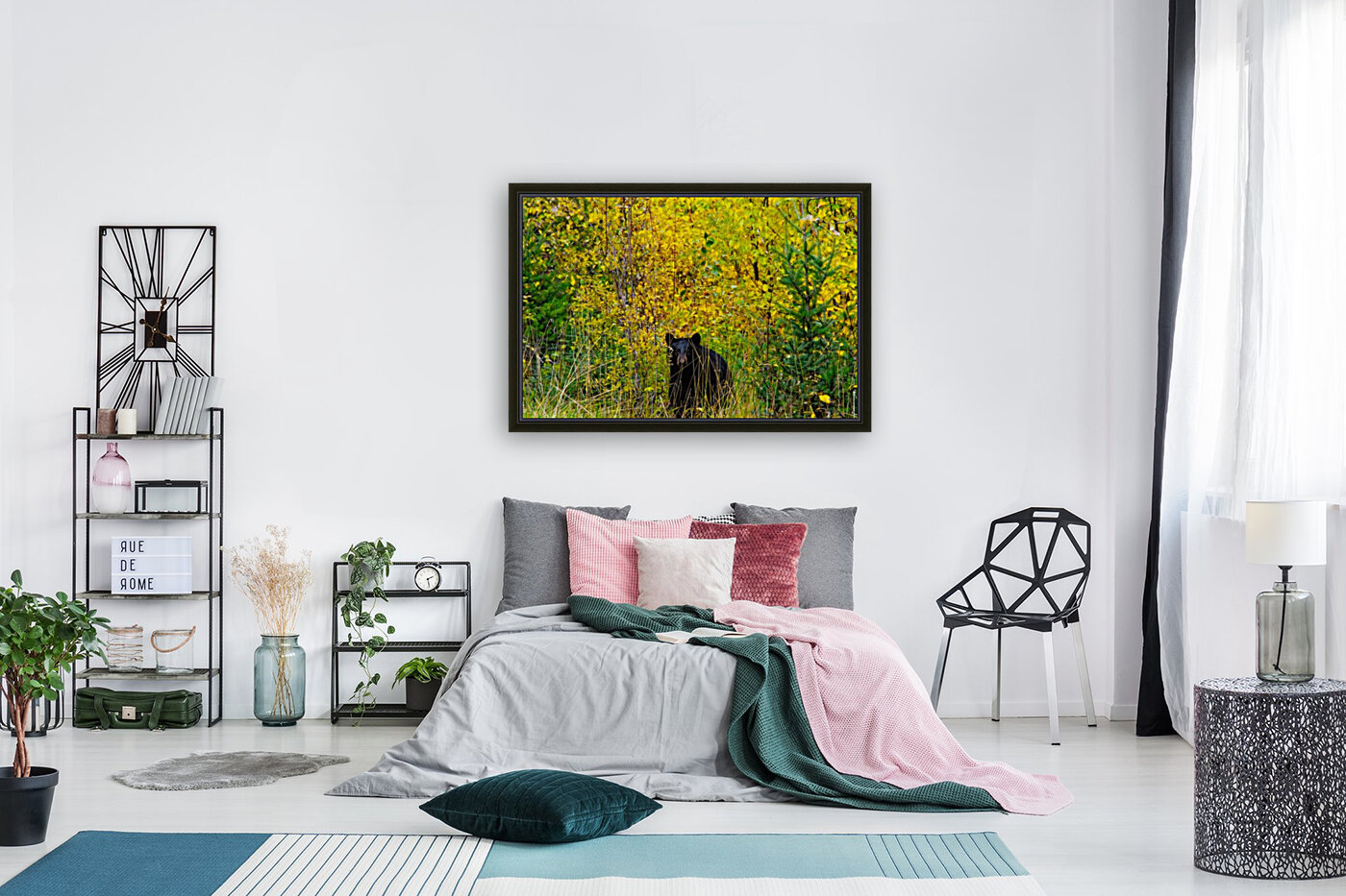 Black Bear Reproduction