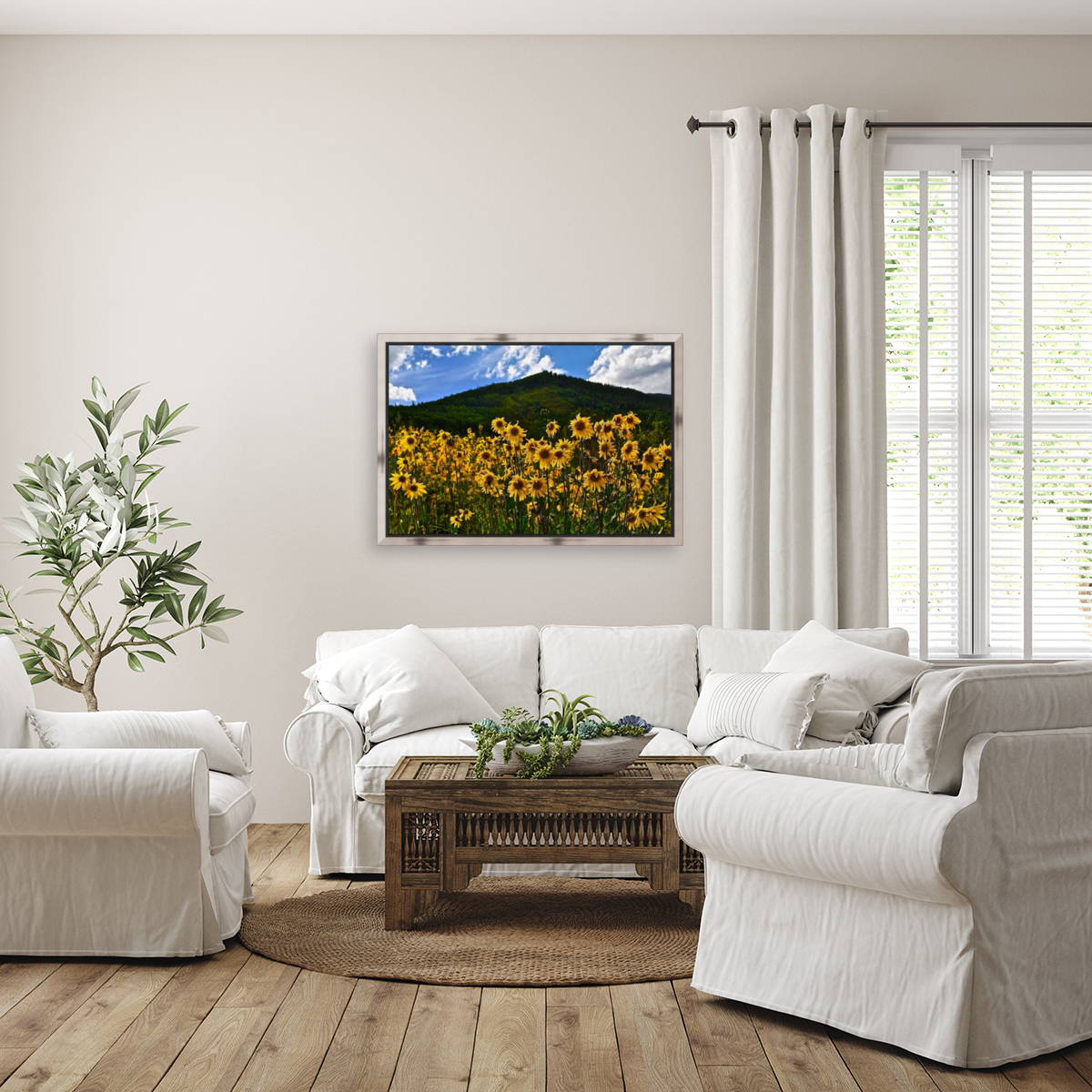 Daisy Mania Reproduction