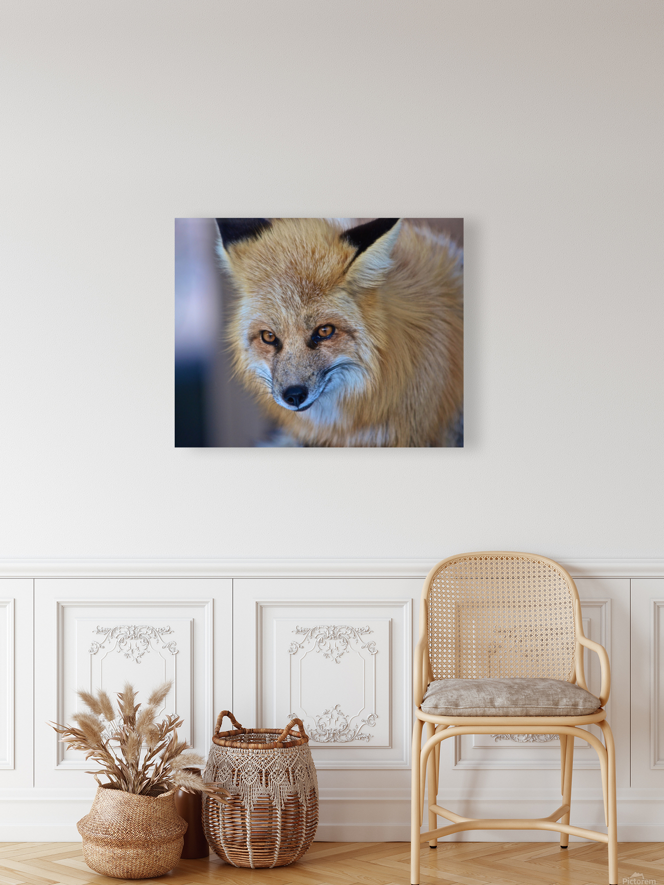 Foxy Smirk Reproduction