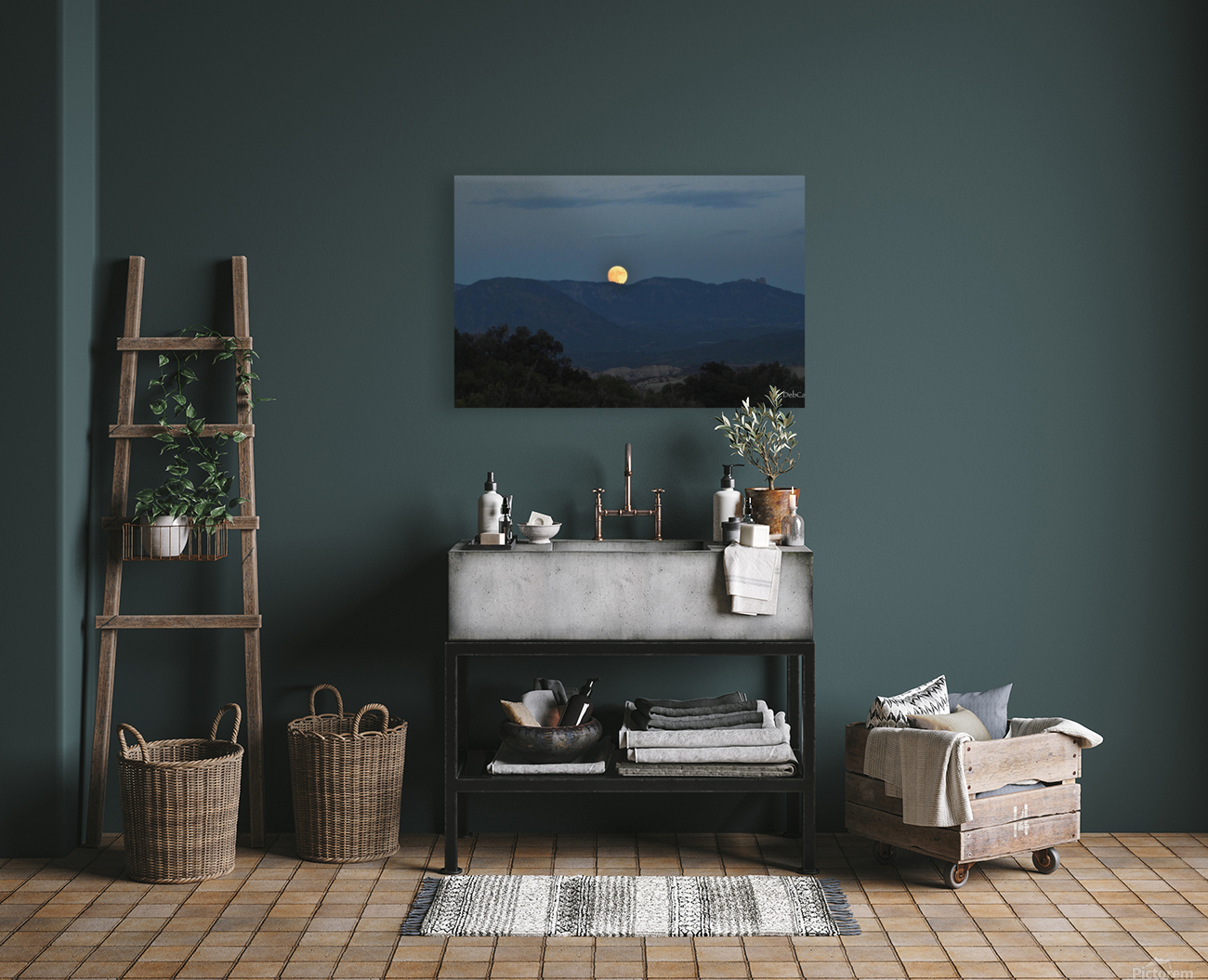 Beaver Moonrise Reproduction