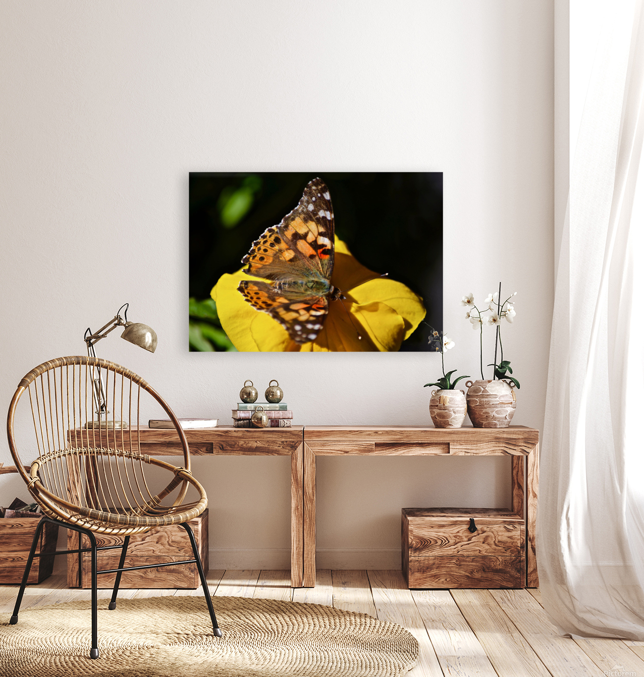 Monarch Reproduction