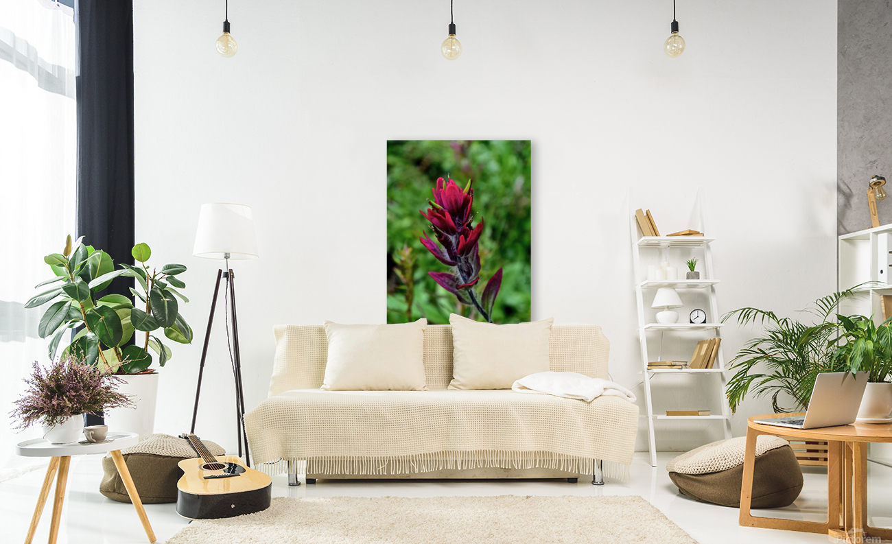 Paintbrush Reproduction