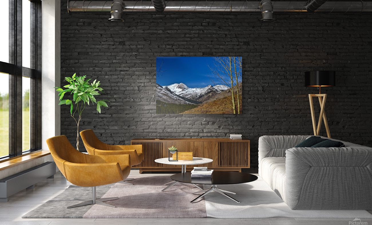 Paradise Divide Reproduction