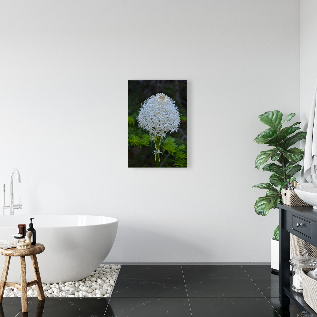 Summer Snowball Reproduction