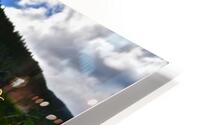 Daisy Mania HD Metal print
