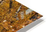 Gunnison River Fall HD Metal print