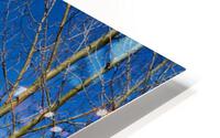 Paradise Divide HD Metal print