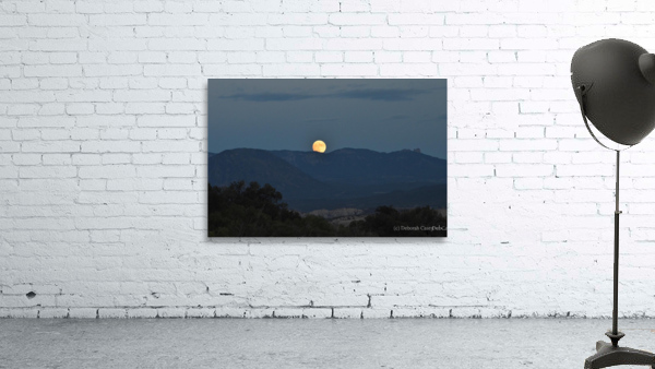 Beaver Moonrise Wall Preview