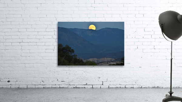 Beaver Moon Wall Preview