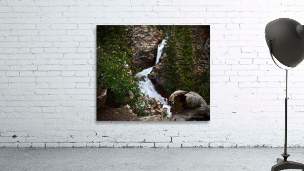 Judd Falls Wall Preview