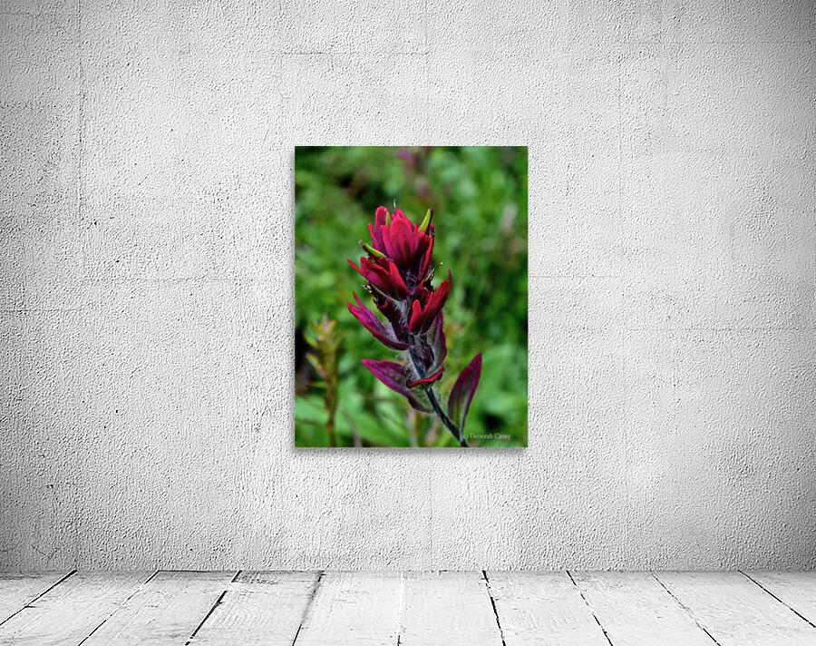 Paintbrush Wall Preview